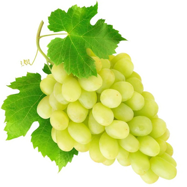 White Grapes